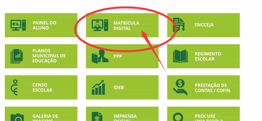 Painel do Aluno MS 2025