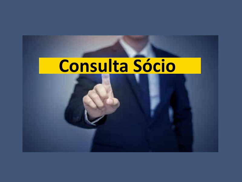 Consulta Sócio