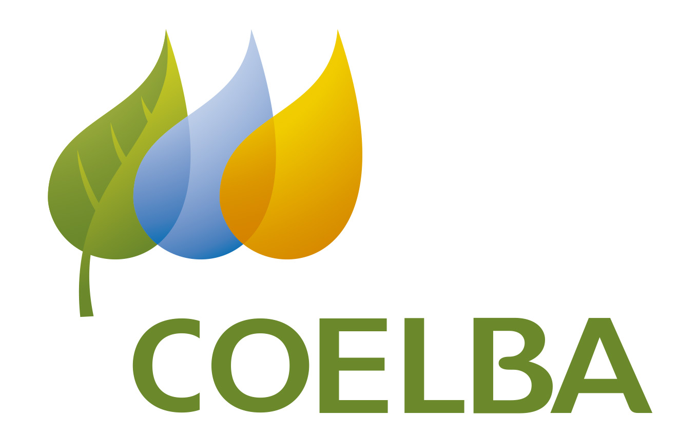Coelba telefone